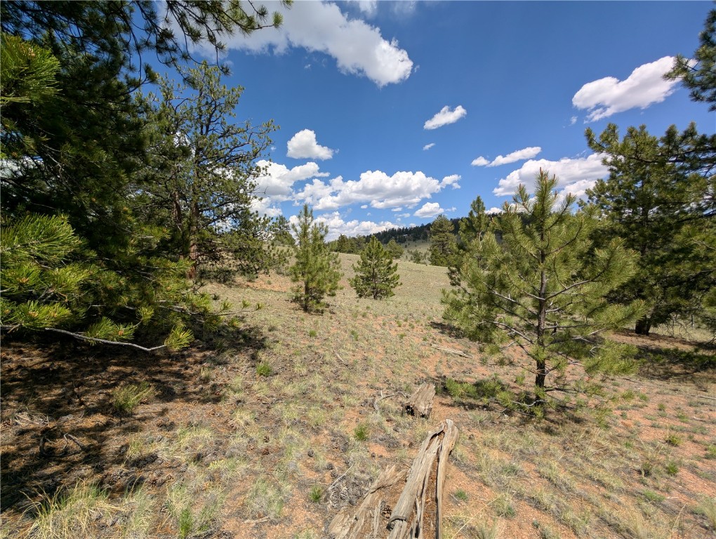 2053 Badger Creek Road Hartsel, CO 80449 - Photo 8 of 14 Gallery Image 8