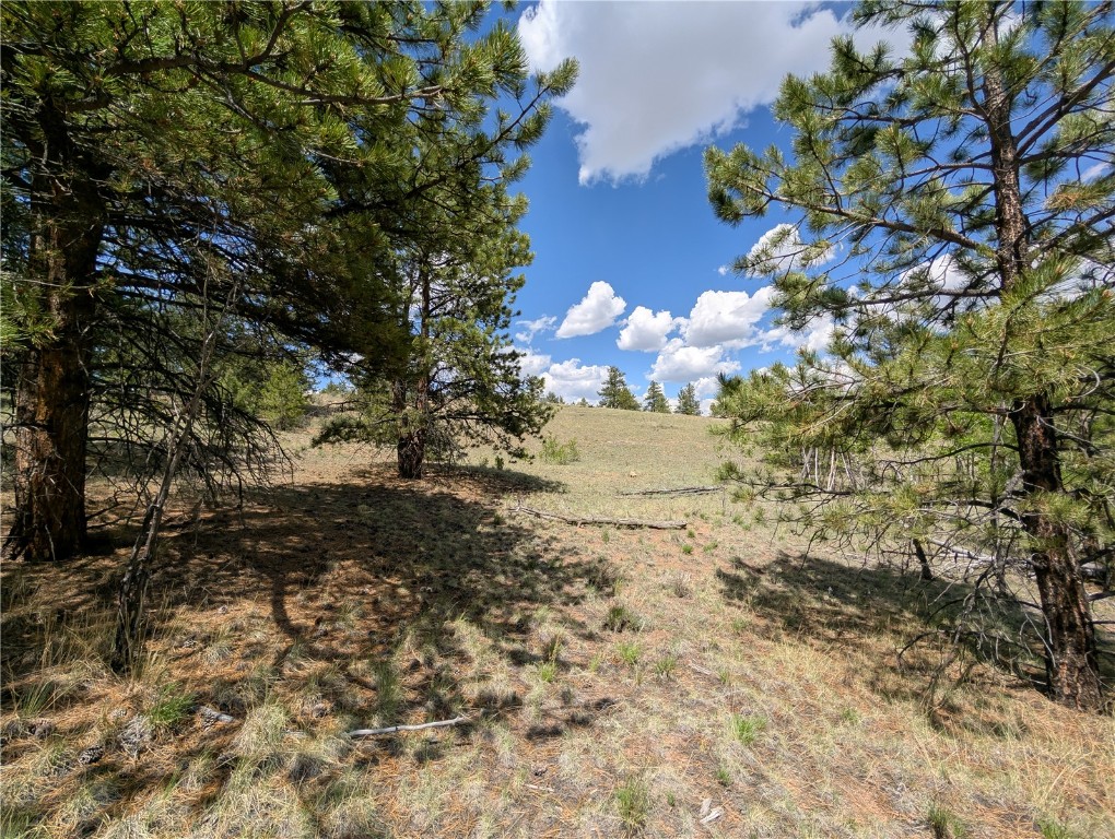 2053 Badger Creek Road Hartsel, CO 80449 - Photo 9 of 14 Gallery Image 9