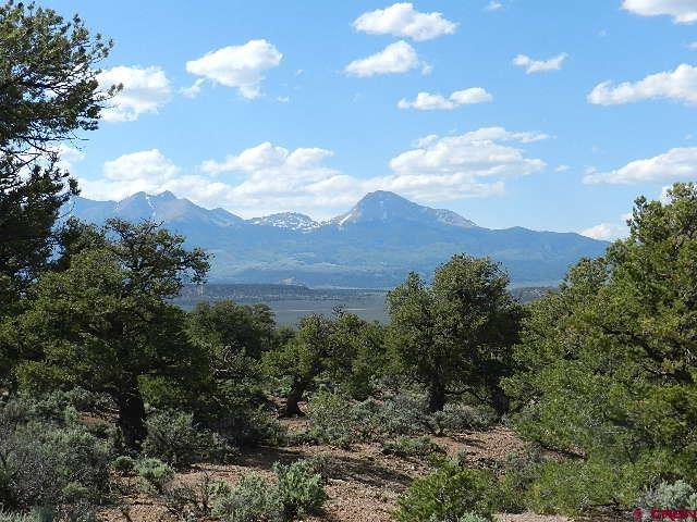 3625 Mitchell Road Fort Garland, CO 81133 - Photo 1 of 1 Gallery Image 1