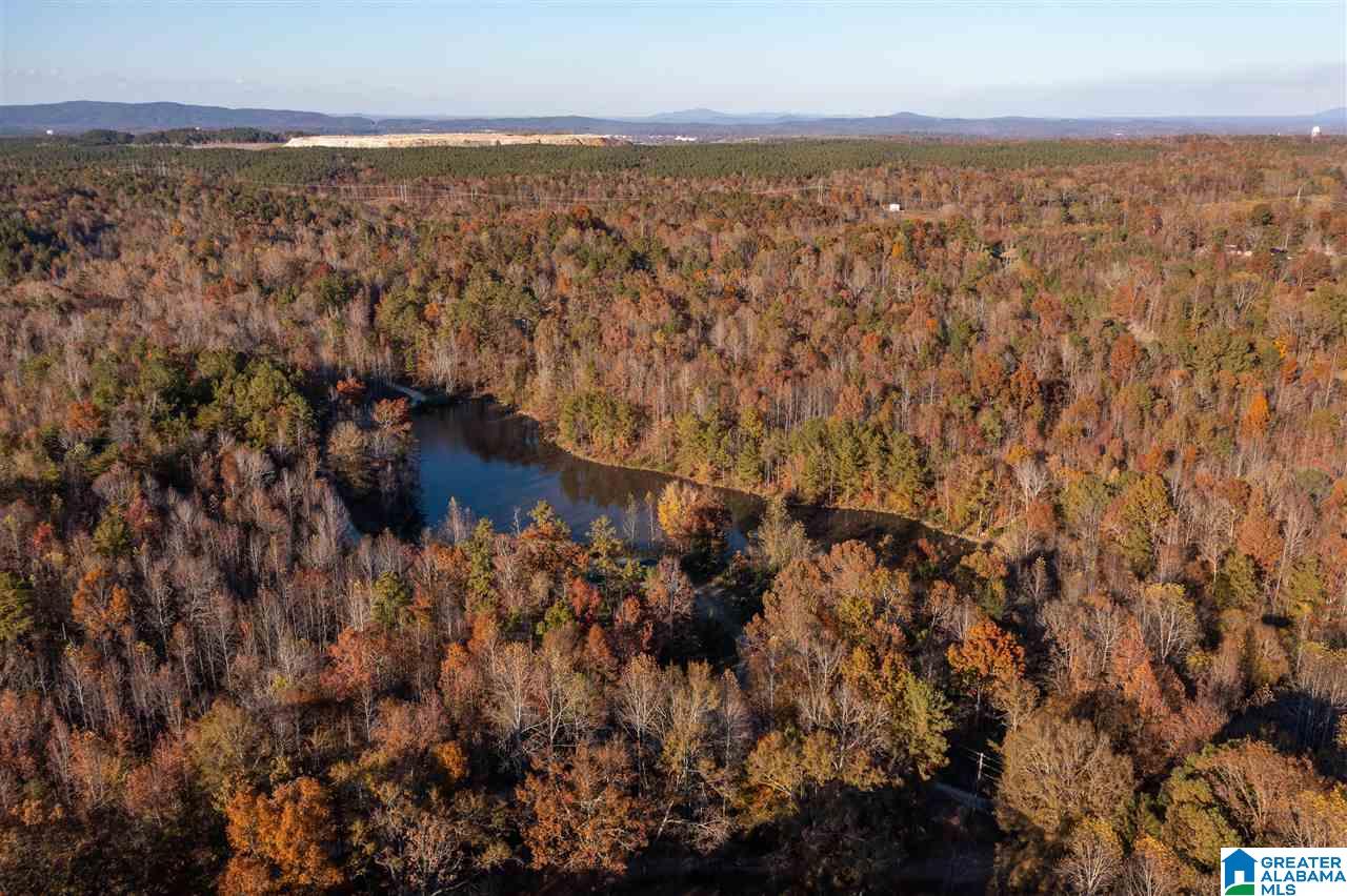 300 Henderson Lake Road Sylacauga, AL 35151 - Photo 2 of 20