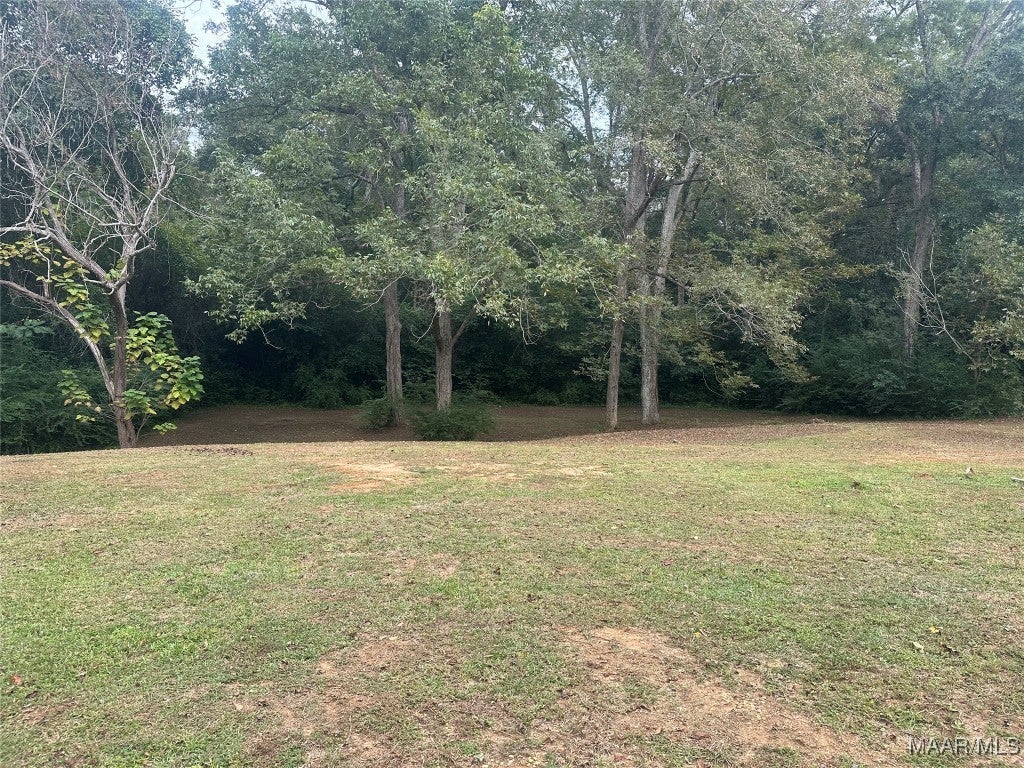 302 Hull Street Enterprise, AL 36330 - Photo 8 of 9 Gallery Image 8
