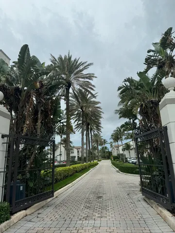 a picture of a tree with a yard