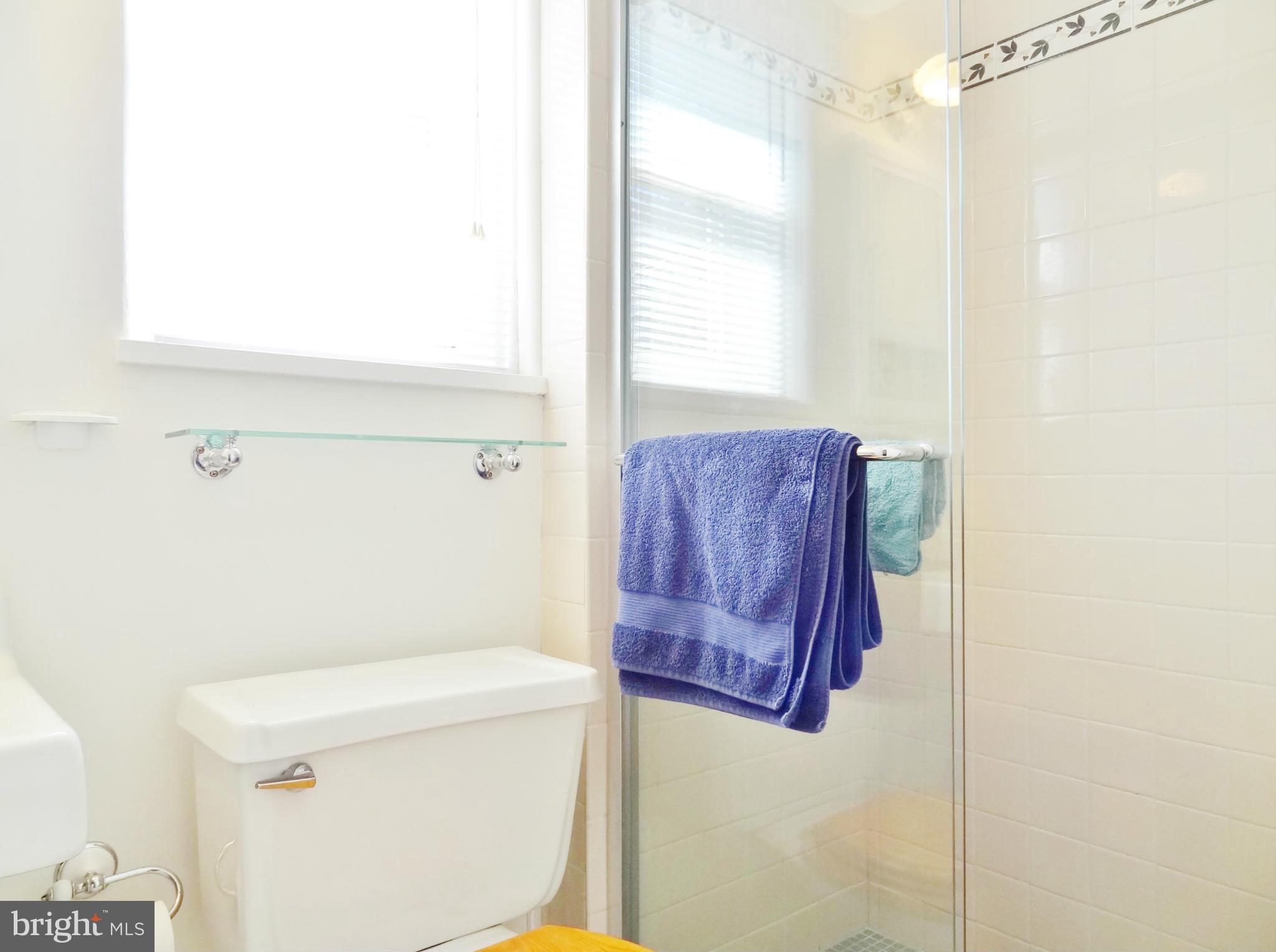 37 Ridge Road, Unit L Greenbelt, MD 20770 - Photo 10 of 10 Bath With Ceramic Shower