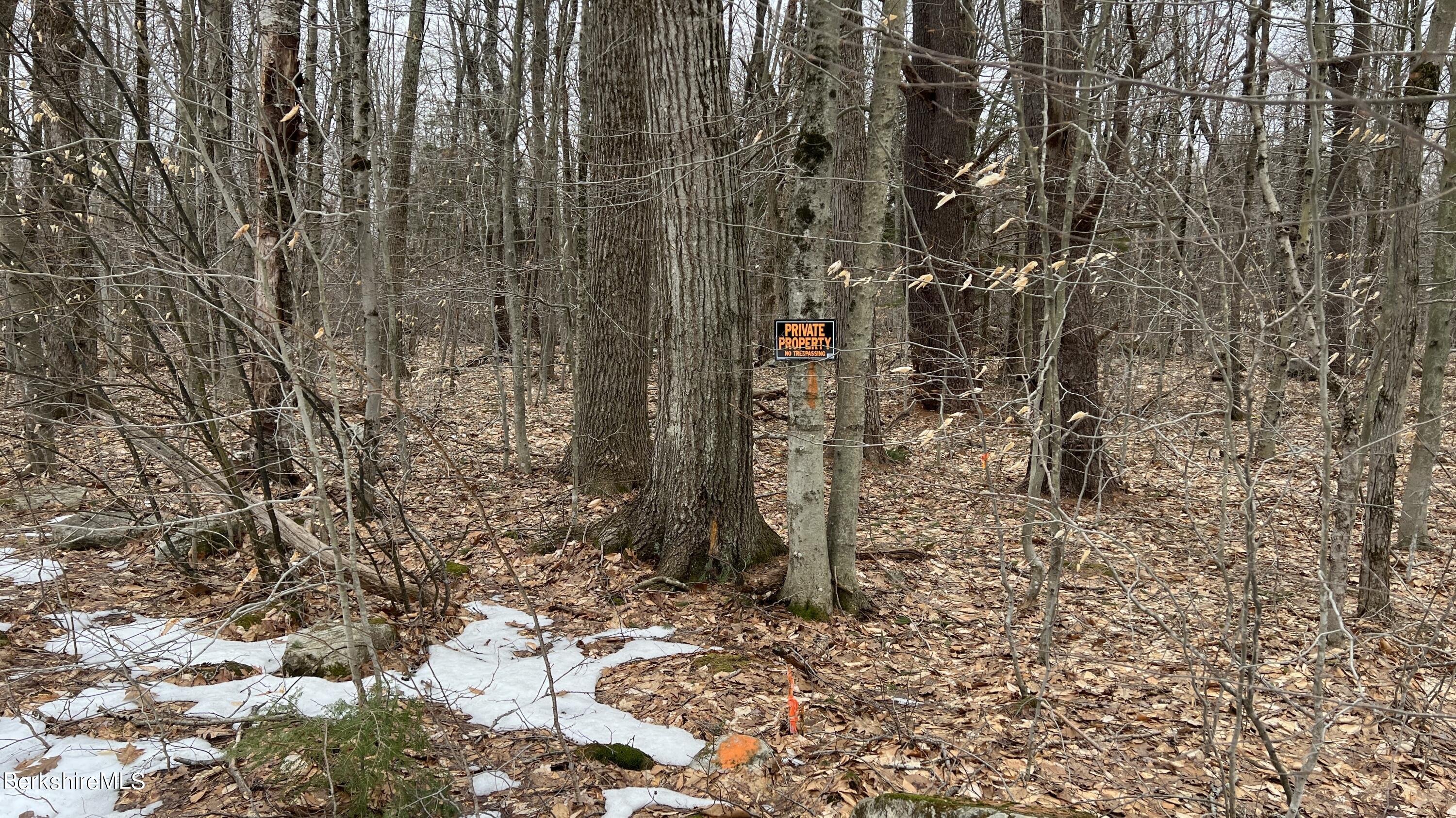 Lot 1 Bonny Rigg Hill Road Becket, MA 01223 - Photo 4 of 6