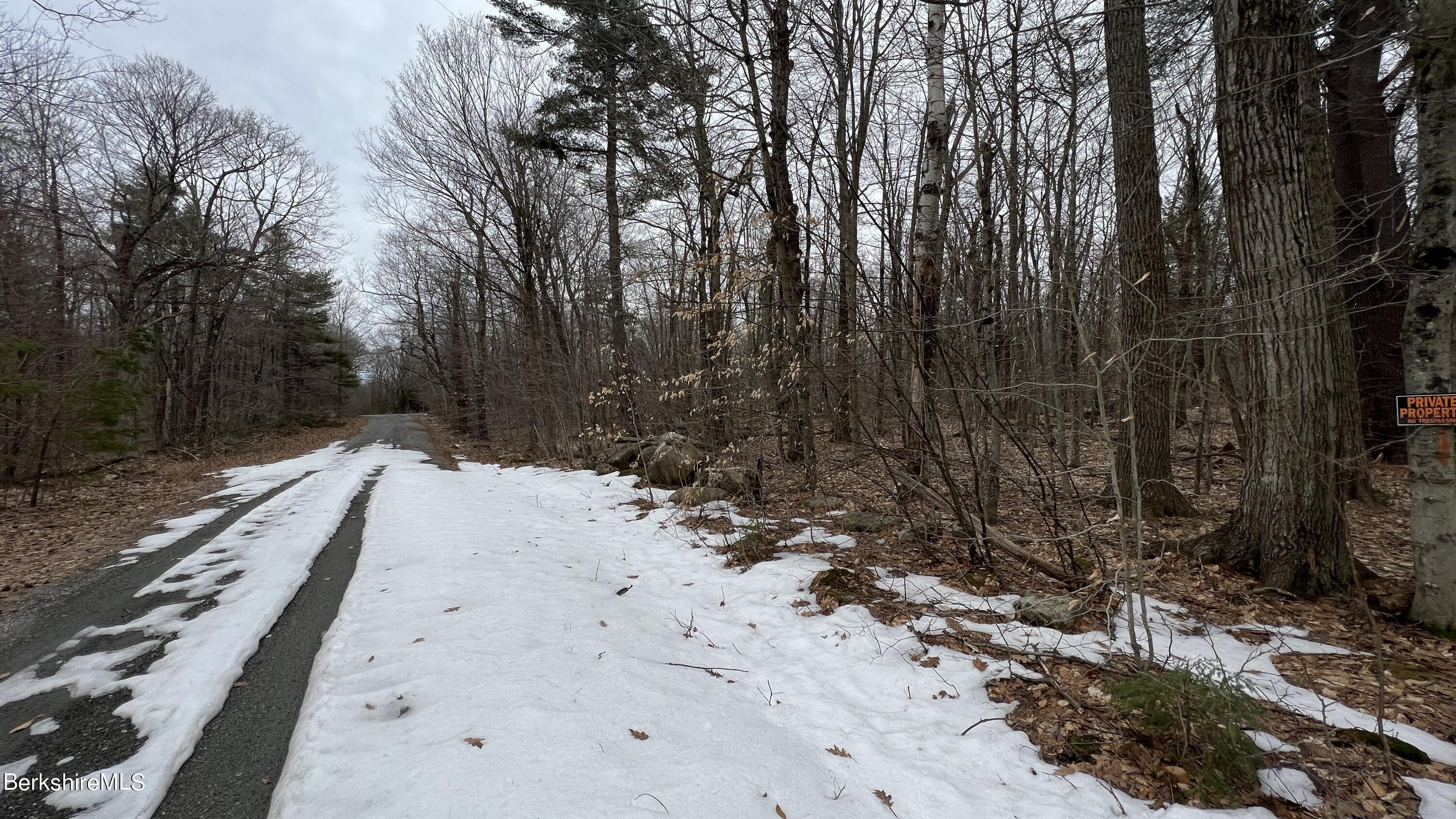 Lot 1 Bonny Rigg Hill Road Becket, MA 01223 - Photo 6 of 6 a view of a yard with trees