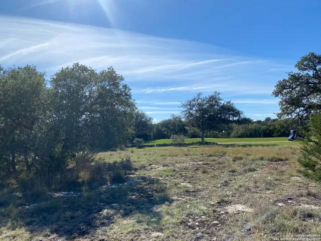 a view of a dry yard with trees