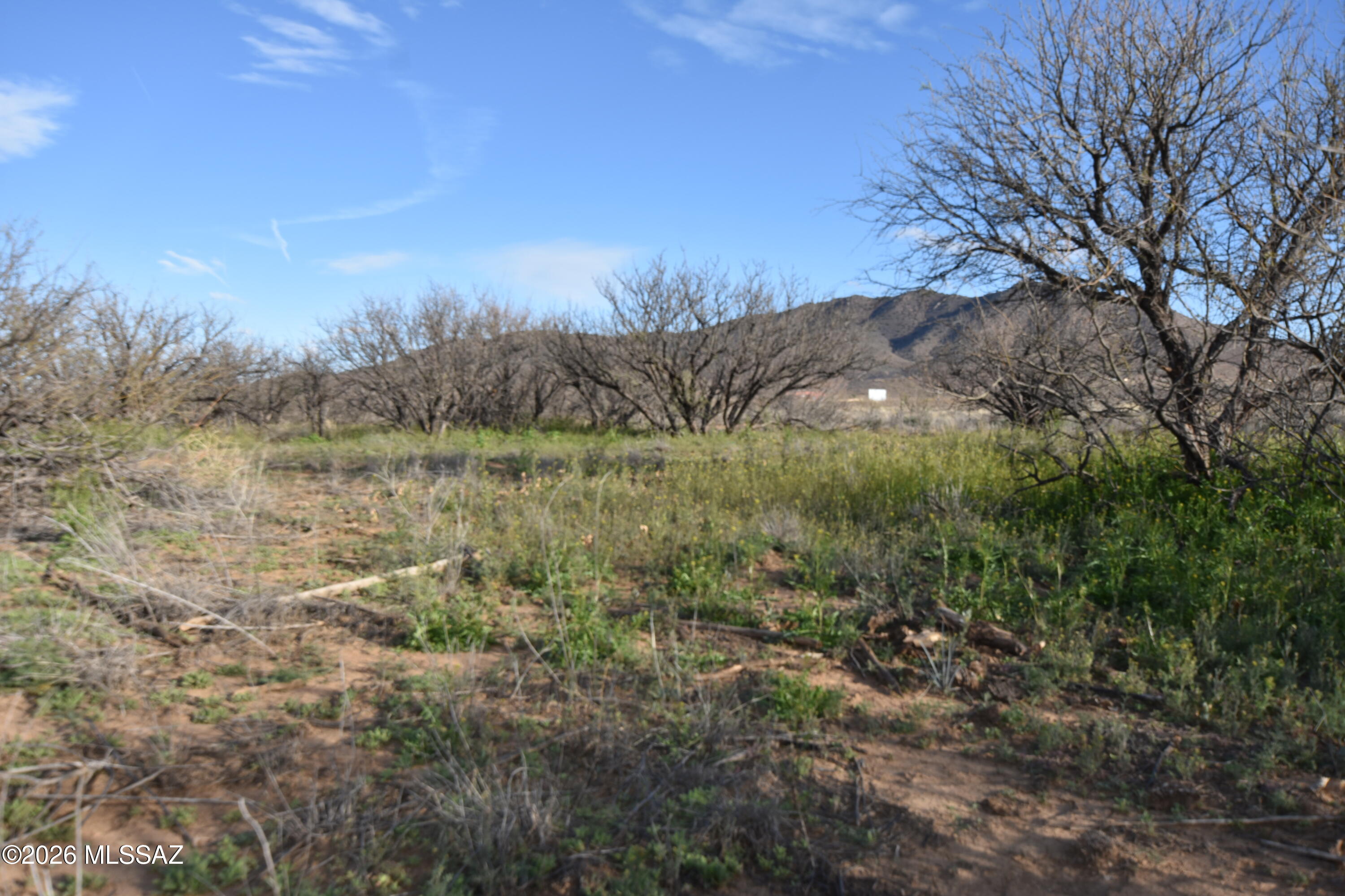 East Howling Wolf Road Willcox, AZ 85643 - Photo 13 of 49