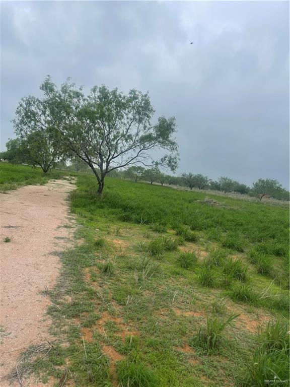 24307 Rio Colorado Road Edinburg, TX 78541 - Photo 4 of 5 Gallery Image 4