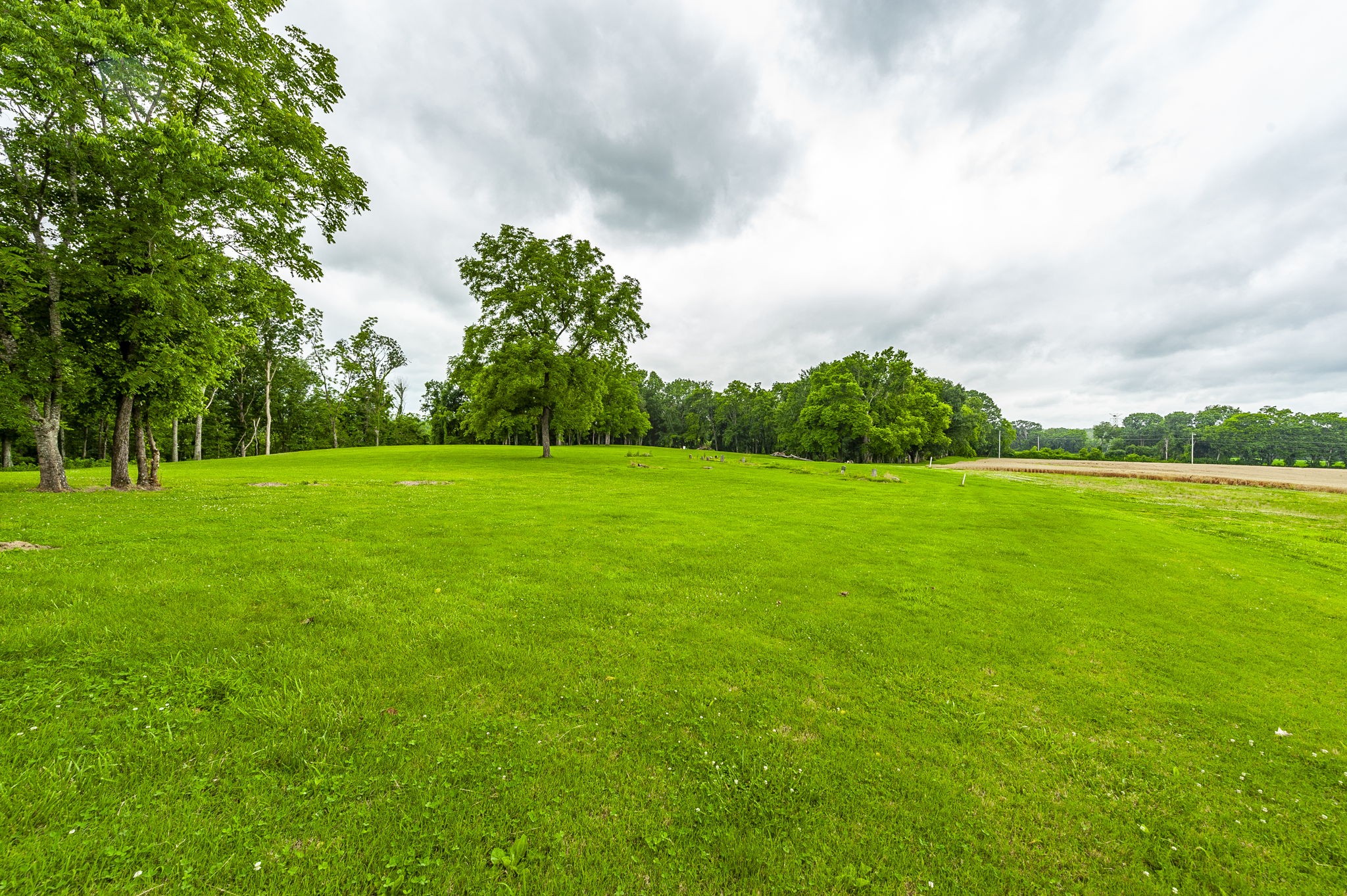 1113 East Robertson Road Castalian Springs, TN 37031 - Photo 33 of 56