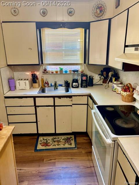 1014 Arlington Street Inkster, MI 48141 - Photo 10 of 18