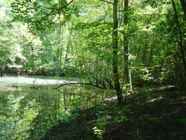 9999 Patton Road London, KY 40744 - Photo 12 of 28 Photo 12