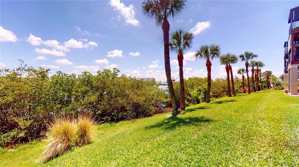 1450 Harbour Walk Road Tampa, FL 33602 - Photo 20 of 26 a view of a yard with palm trees