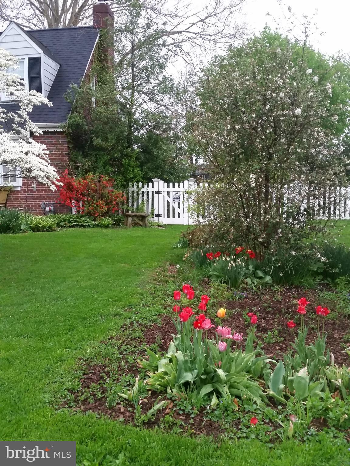 311 Oreland Mill Road Oreland, PA 19075 - Photo 4 of 30 side yard,property has over 100 flower bulbs