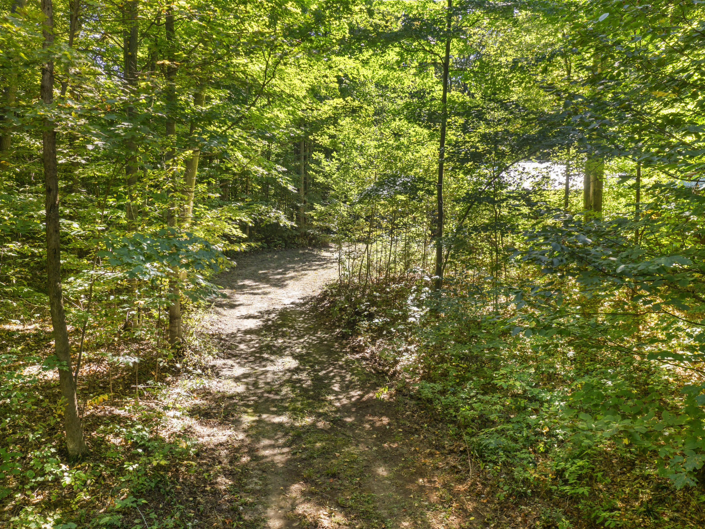 7045 King Road Benzonia, MI 49616 - Photo 11 of 38 Photo 7