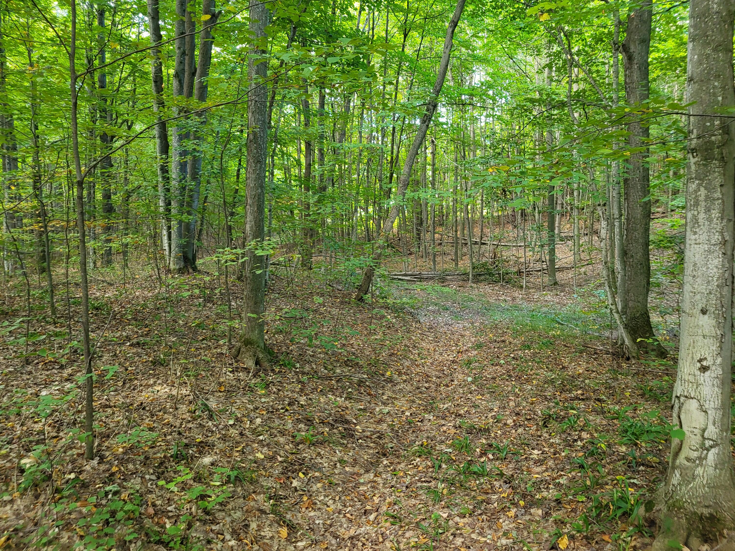 7045 King Road Benzonia, MI 49616 - Photo 18 of 38 20240923_103830