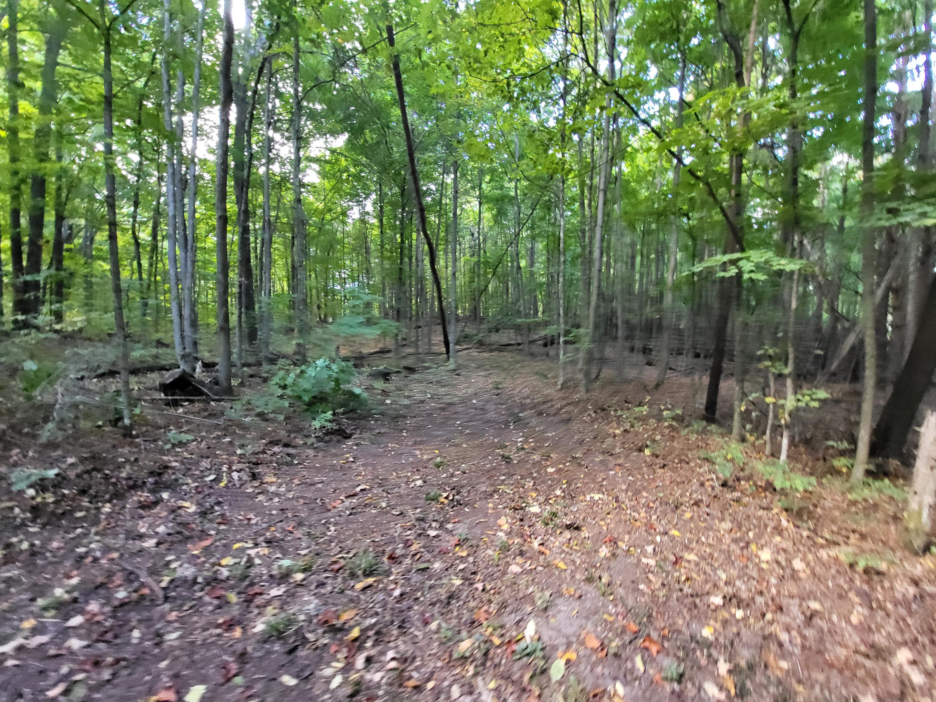 7045 King Road Benzonia, MI 49616 - Photo 25 of 38 20240923_104030