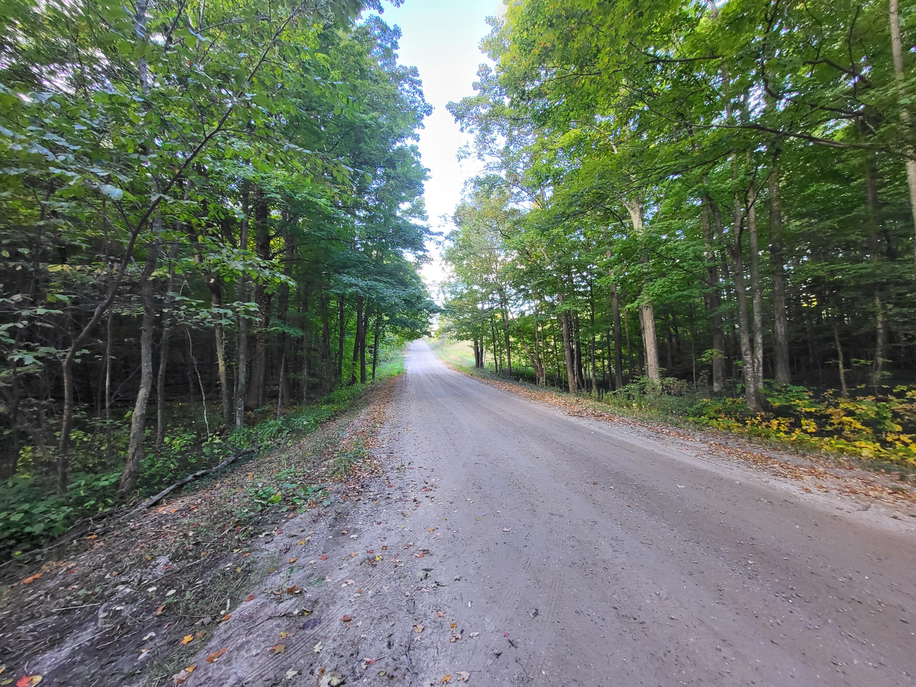 7045 King Road Benzonia, MI 49616 - Photo 28 of 38 20240923_104100