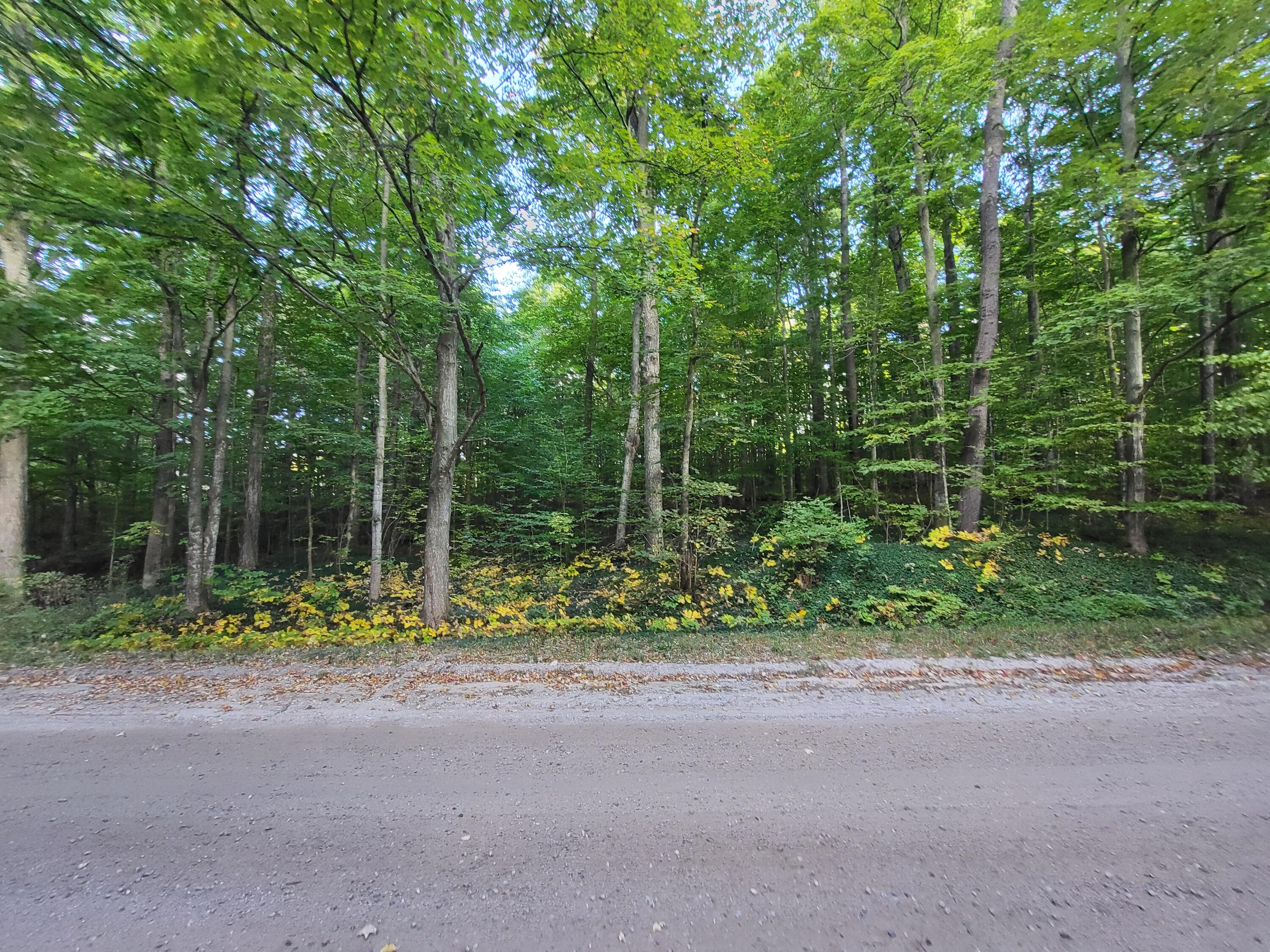 7045 King Road Benzonia, MI 49616 - Photo 29 of 38 20240923_104102