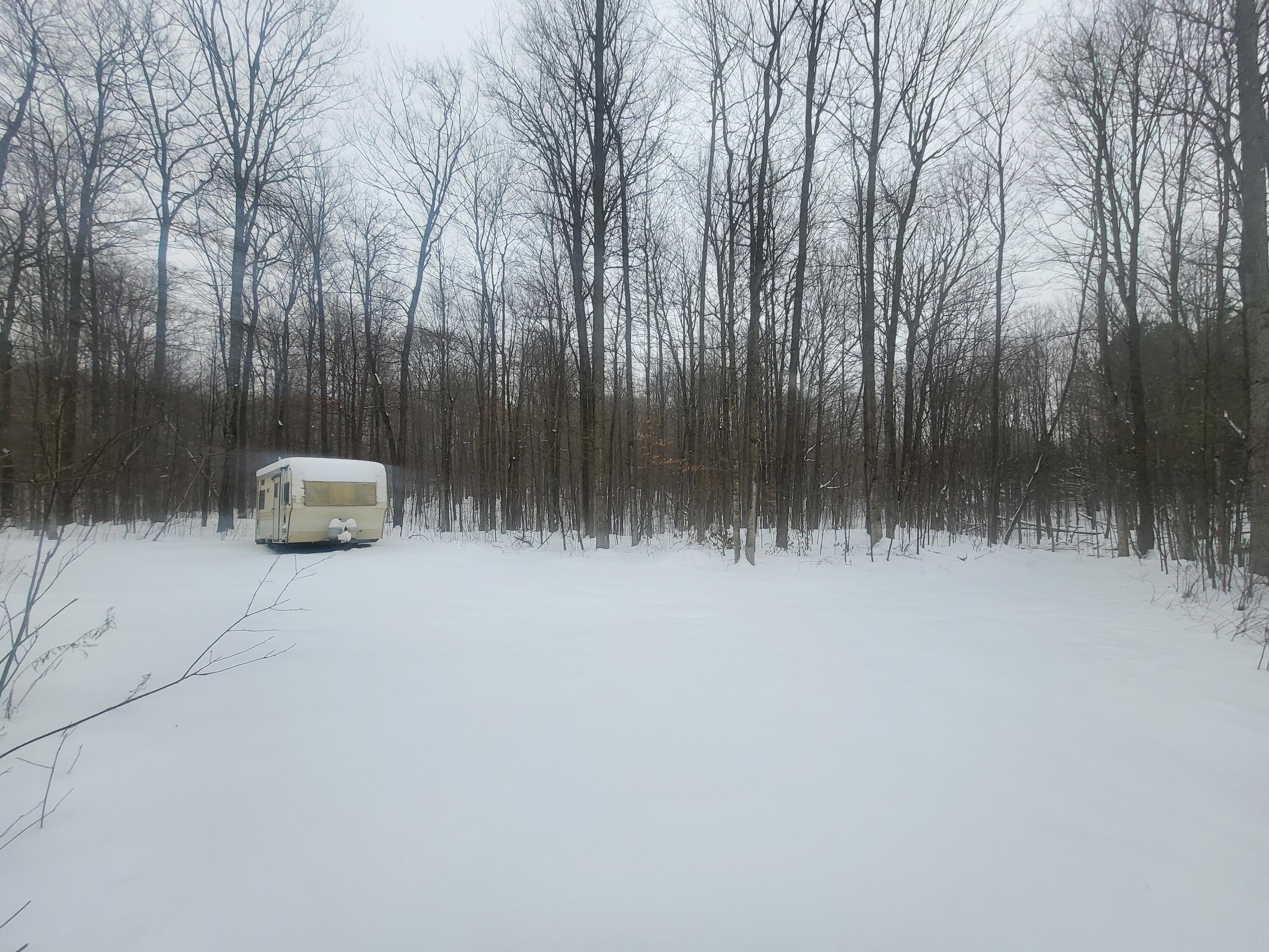 7045 King Road Benzonia, MI 49616 - Photo 32 of 38 20241206_134755