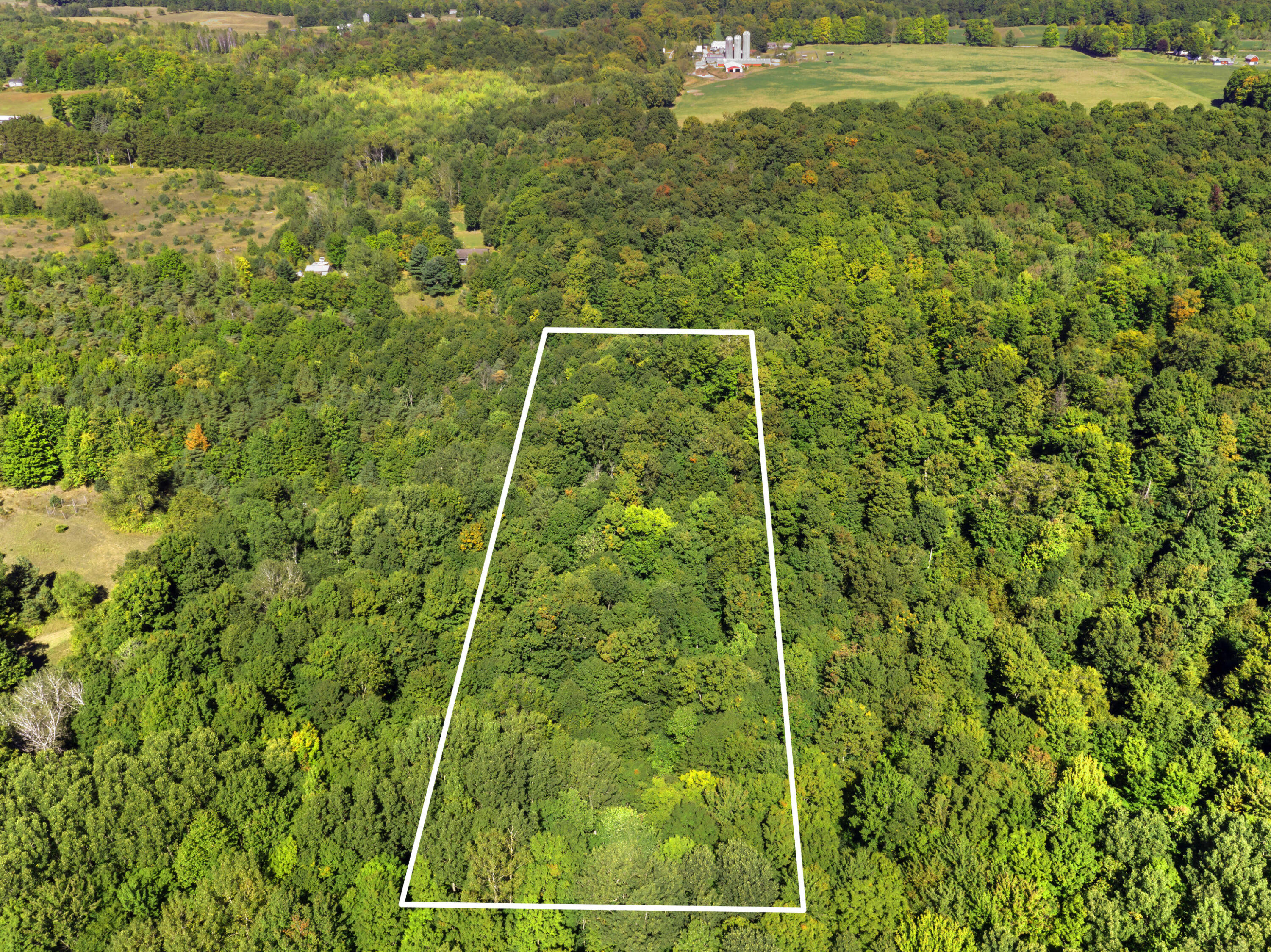 7045 King Road Benzonia, MI 49616 - Photo 10 of 38 Photo 5