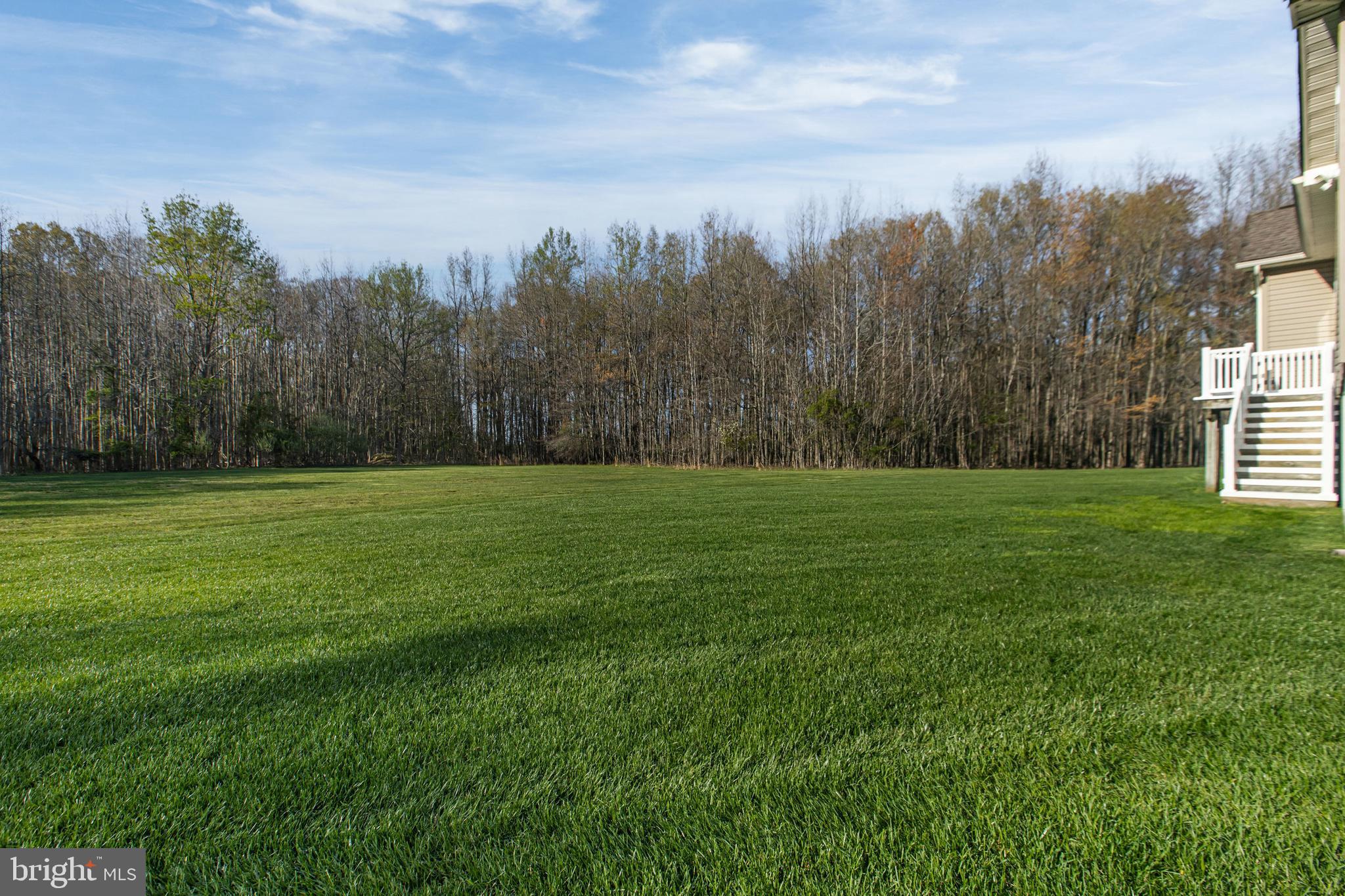 88 Springmill Drive Middletown, DE 19709 - Photo 45 of 63 a view of a grassy field with trees in the background