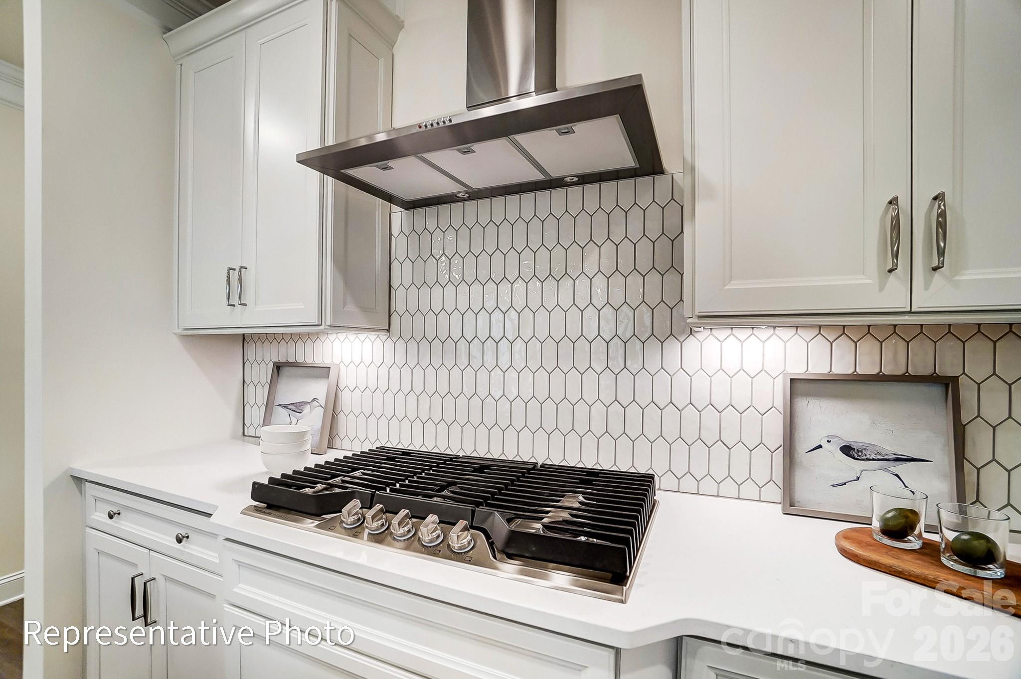 5001 Raging Crk Drive Indian Trail, NC 28079 - Photo 11 of 46