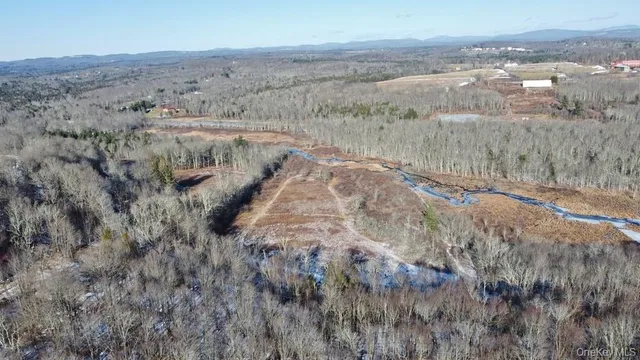a view of a dry yard with trees