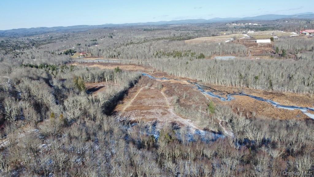 0 Mongaup Road Fallsburg, NY 12733 - Photo 3 of 10 a view of a dry yard with trees