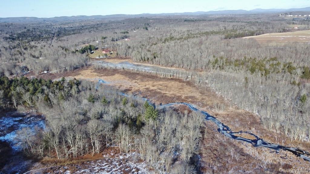 0 Mongaup Road Fallsburg, NY 12733 - Photo 4 of 10 a view of city view and mountain view