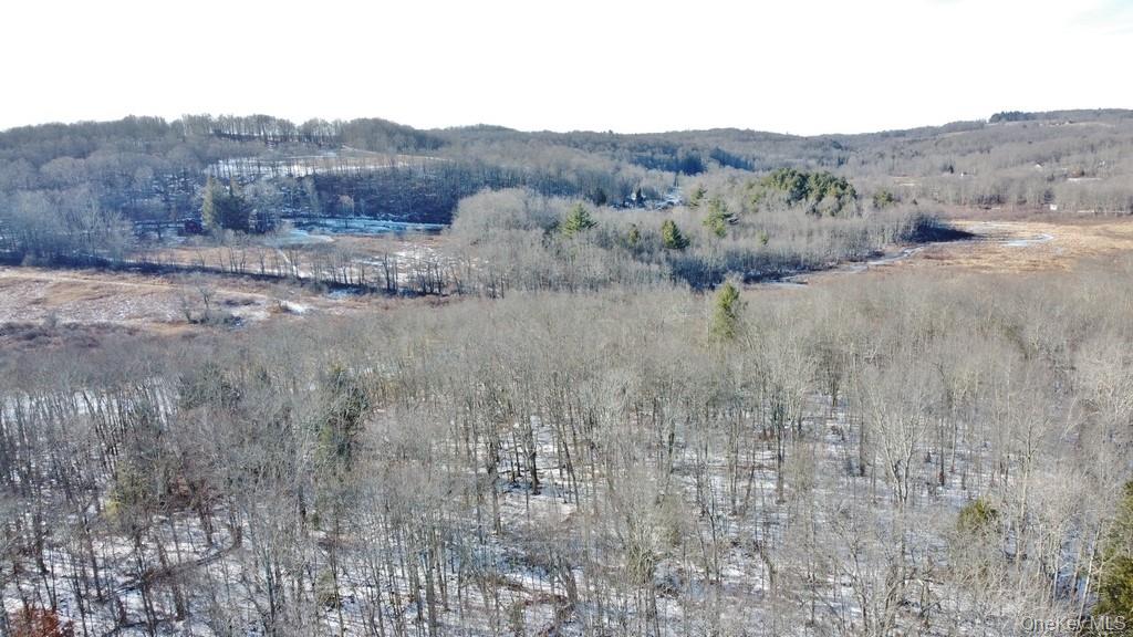 0 Mongaup Road Fallsburg, NY 12733 - Photo 7 of 10 a view of an outdoor space