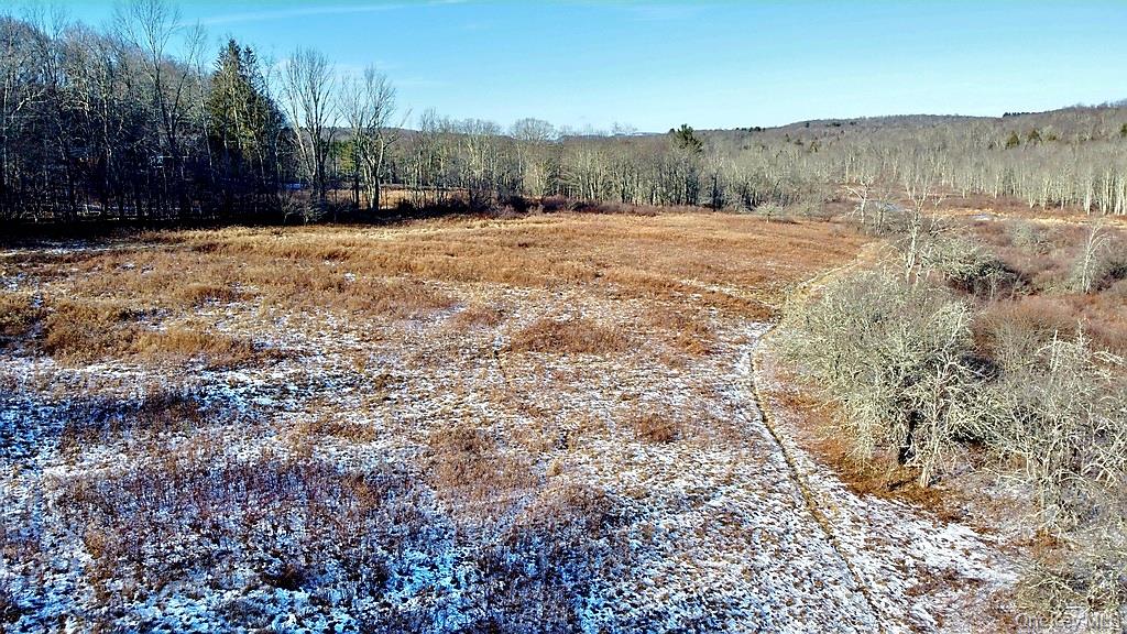 0 Mongaup Road Fallsburg, NY 12733 - Photo 9 of 10