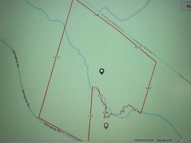 $199,000 | 0 Mongaup Road, Fallsburg, NY 12733