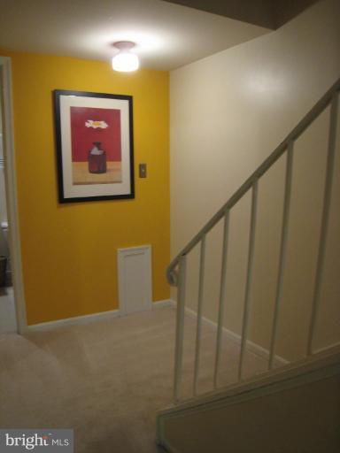 7424 Timberock Road Falls Church, VA 22043 - Photo 29 of 30 Stairs to the inviting lower level