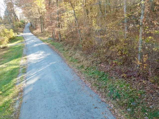 a view of a yard with trees