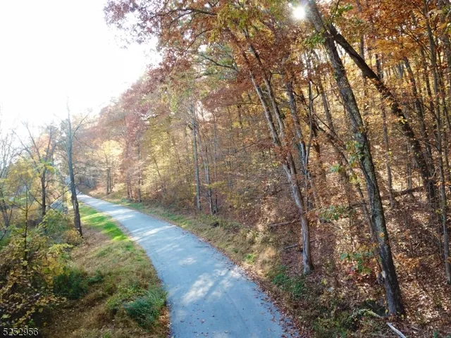 a view of a yard with plants and trees