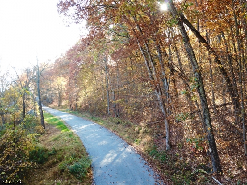 26 Dickerson Road Augusta, NJ 07822 - Photo 3 of 7 a view of a yard with plants and trees