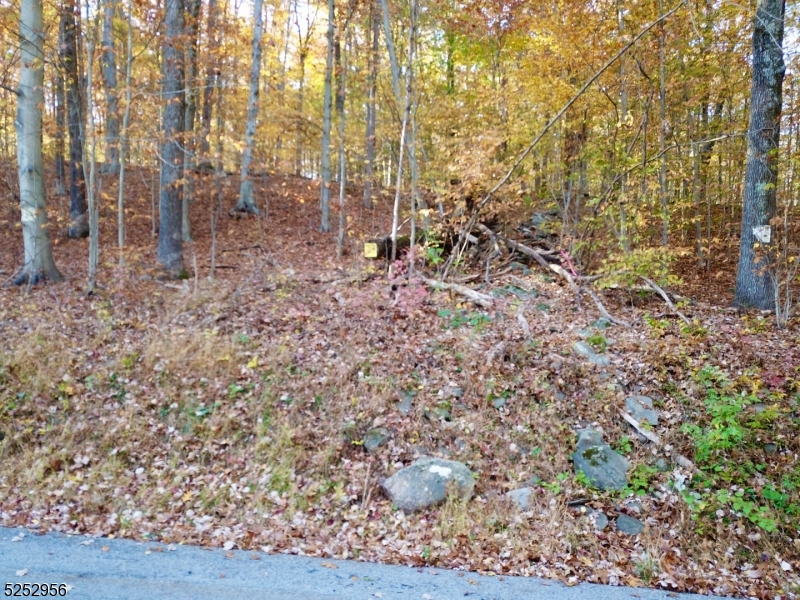 26 Dickerson Road Augusta, NJ 07822 - Photo 4 of 7 a backyard of a house with lots of green space