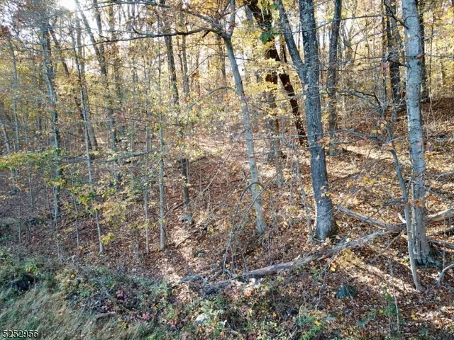 a close up of a tree