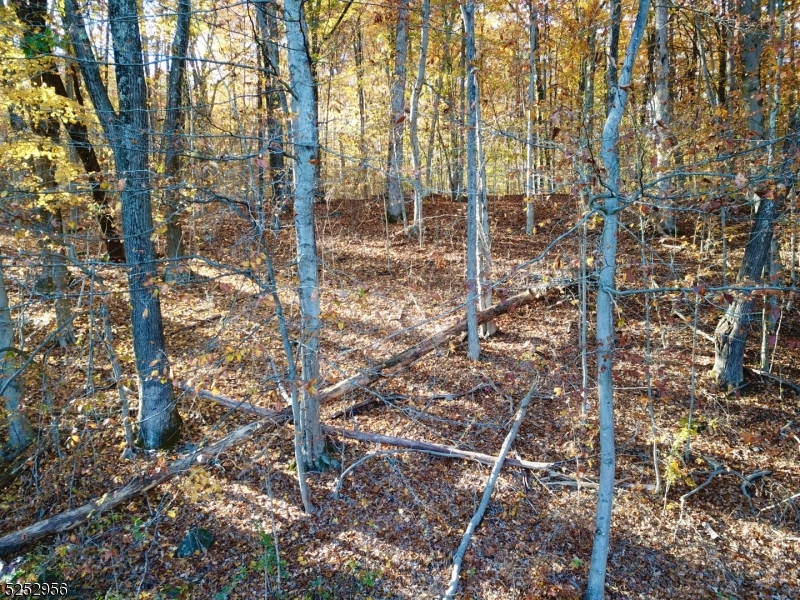 26 Dickerson Road Augusta, NJ 07822 - Photo 6 of 7 a backyard of a house with lots of green space