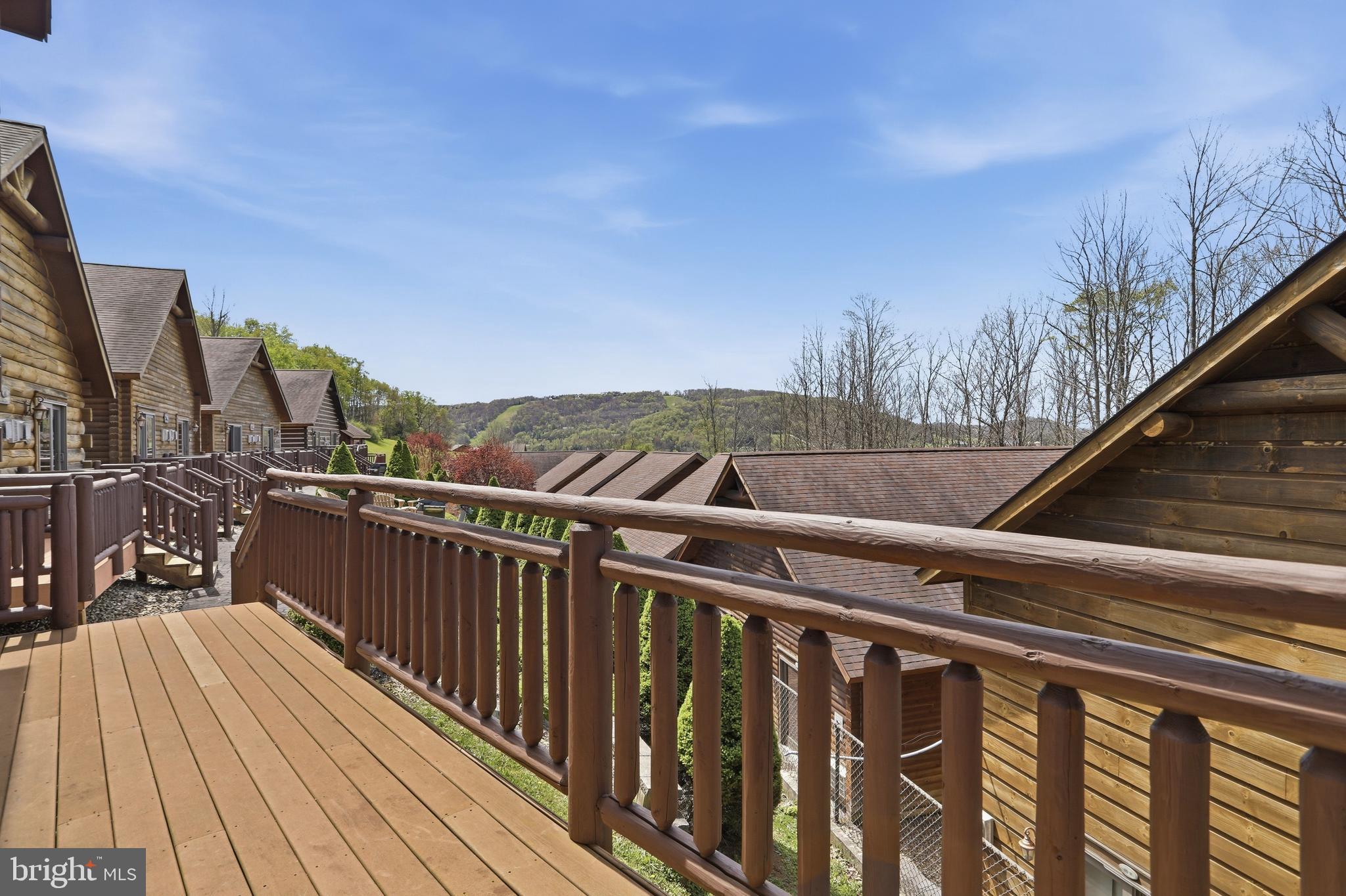 235 Cabin Lodge Road McHenry, MD 21541 - Photo 24 of 25