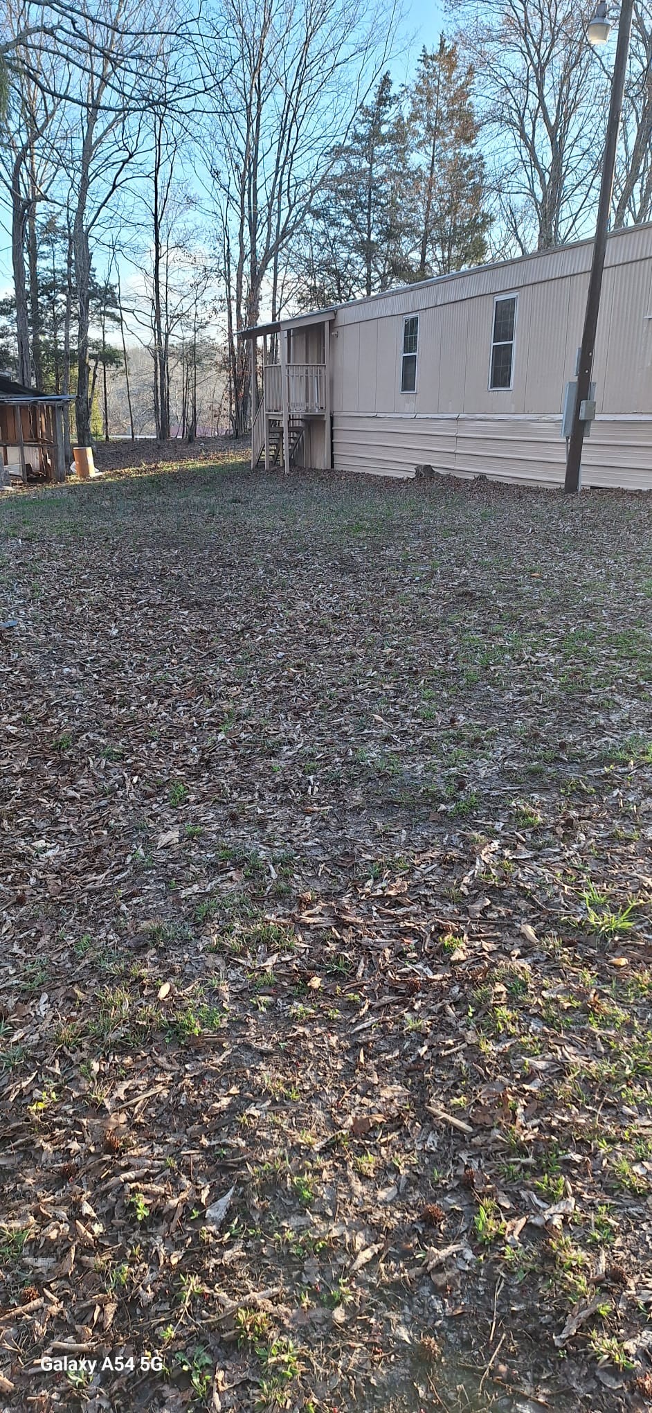 342 East Little Richland Road Waverly, TN 37185 - Photo 12 of 17 a view of a backyard with large trees