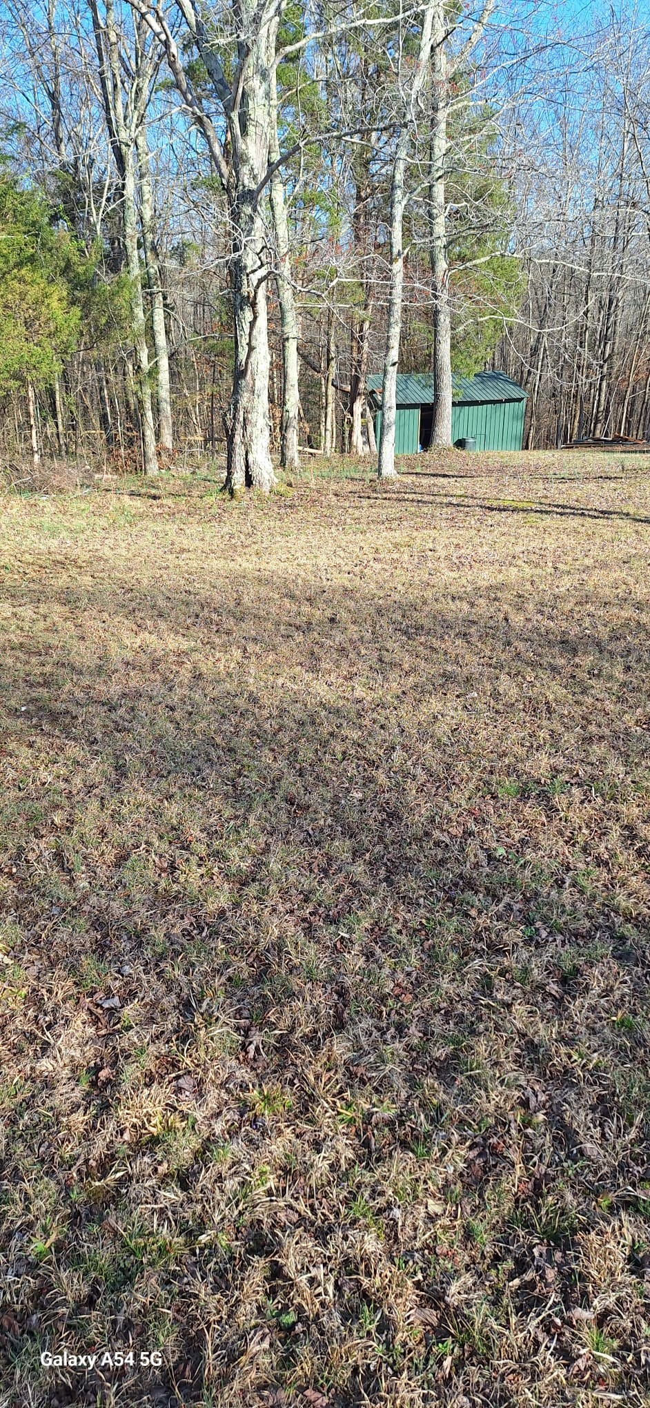 342 East Little Richland Road Waverly, TN 37185 - Photo 16 of 17 a view of a house with a yard