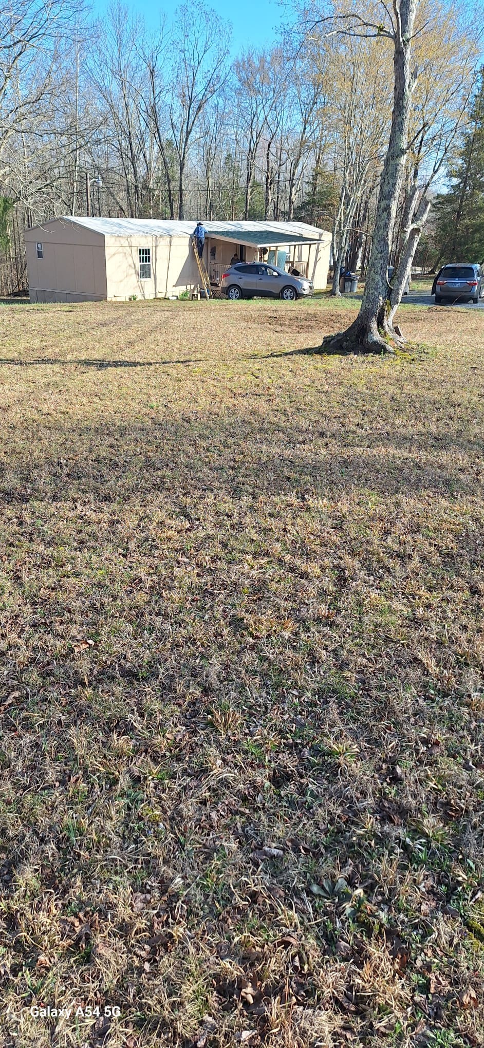 342 East Little Richland Road Waverly, TN 37185 - Photo 17 of 17 a view of yard with tree