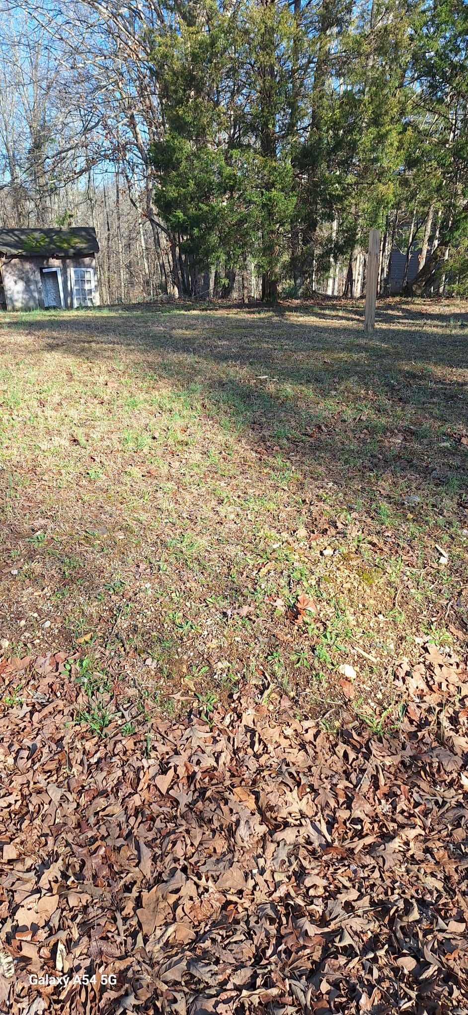 342 East Little Richland Road Waverly, TN 37185 - Photo 19 of 23