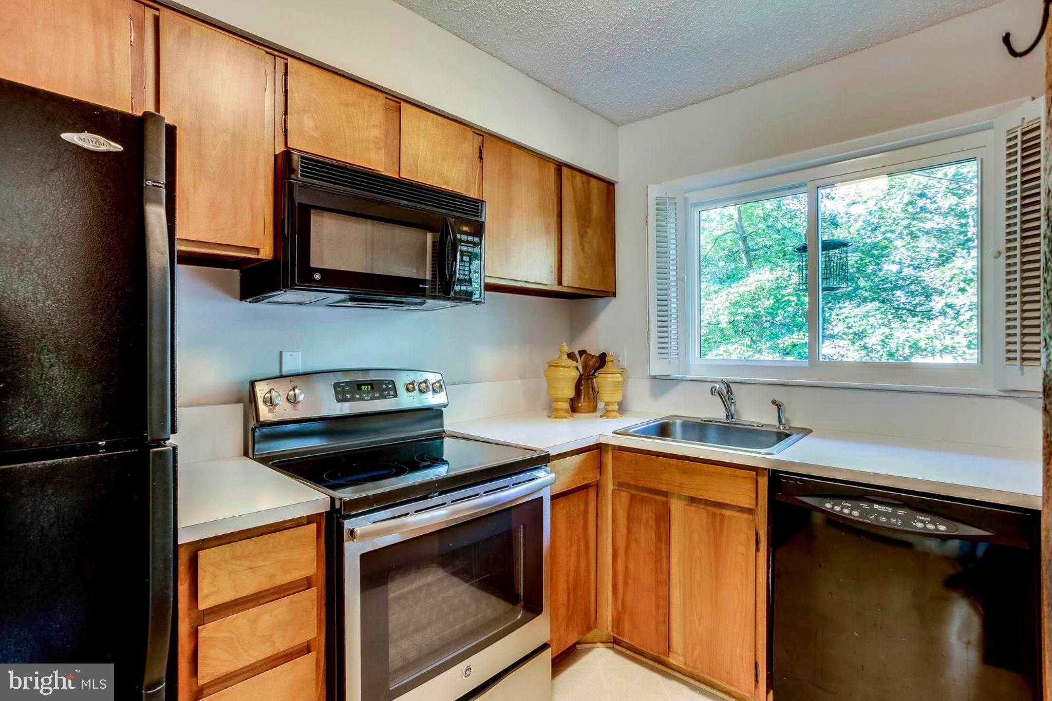 2239 Southgate Square Reston, VA 20191 - Photo 8 of 50 Watch birds out your window while doing the dishes