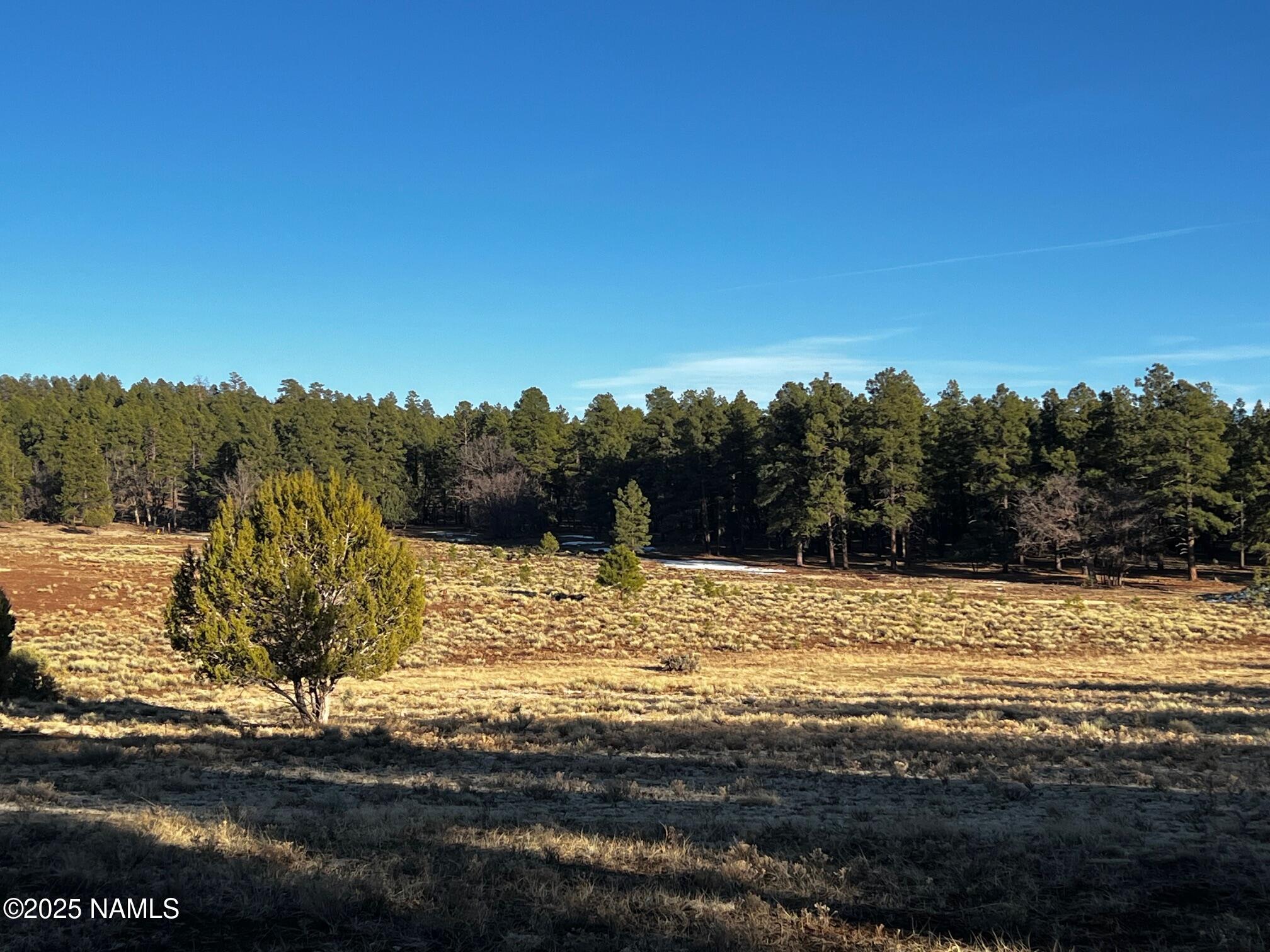 475 North Double A Ranch Road Williams, AZ 86046 - Photo 4 of 18 IMG_6596
