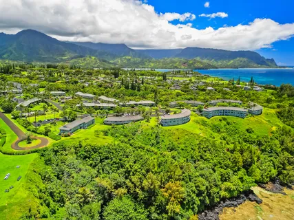 a view of a city with lush green forest