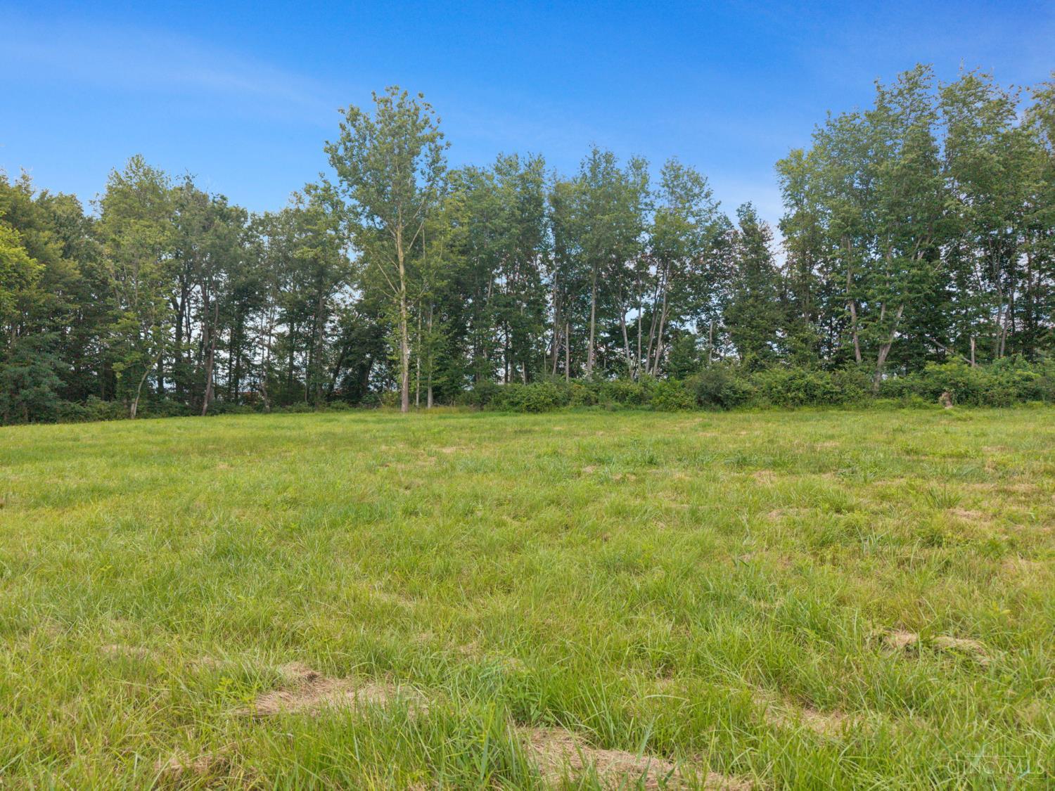 8020 Dr Faul Road Georgetown, OH 45121 - Photo 9 of 15