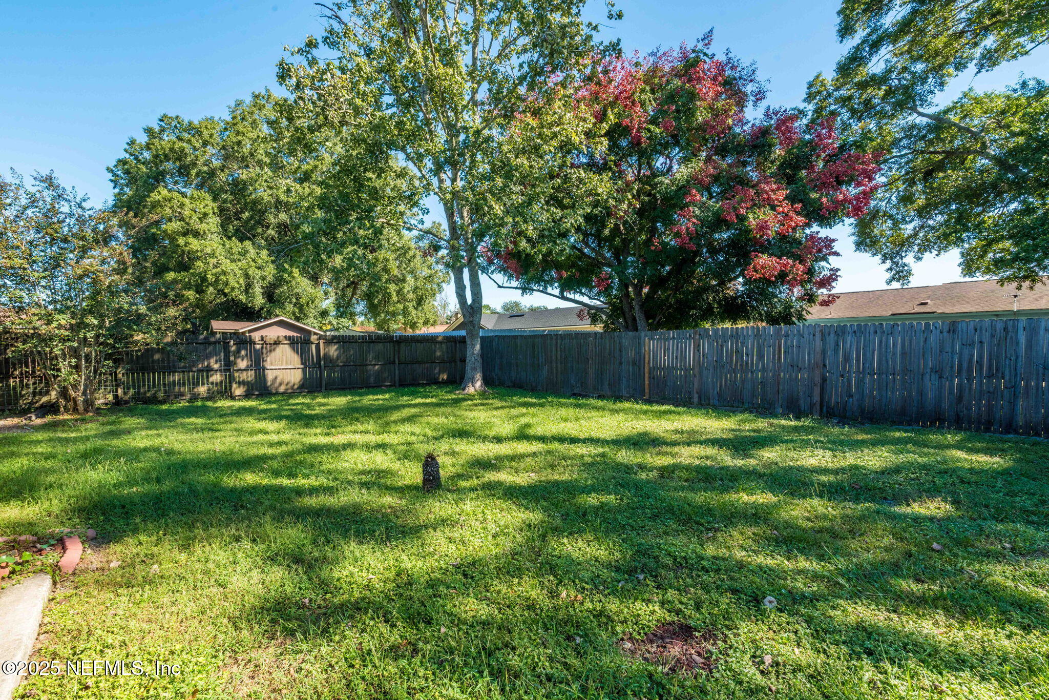 3765 Moonflower Road Jacksonville, FL 32210 - Photo 26 of 29 Huge back, fenced yard