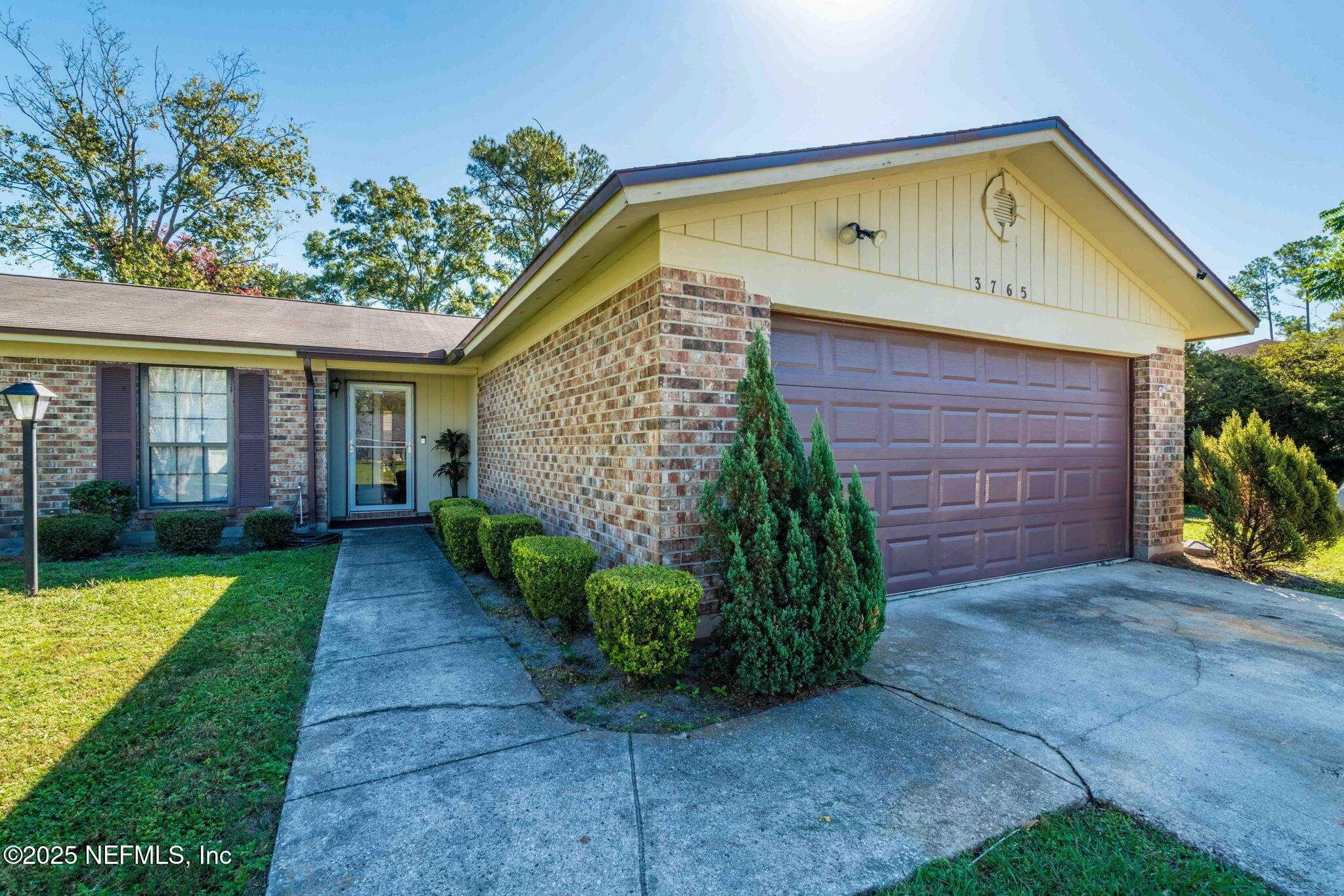 3765 Moonflower Road Jacksonville, FL 32210 - Photo 3 of 29 Front